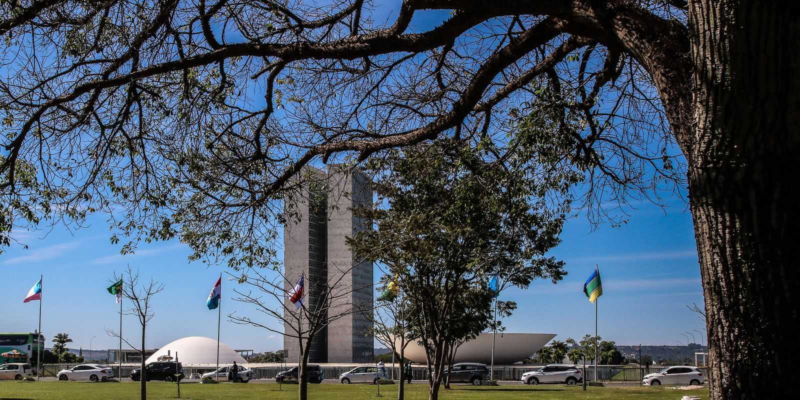 senado-comeca-a-analisar-novo-arcabouco-fiscal-esta-semana