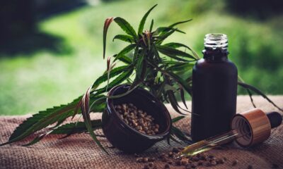 sao-paulo-veta-pl-que-amplia-acesso-a-itens-de-cannabis-medicinal