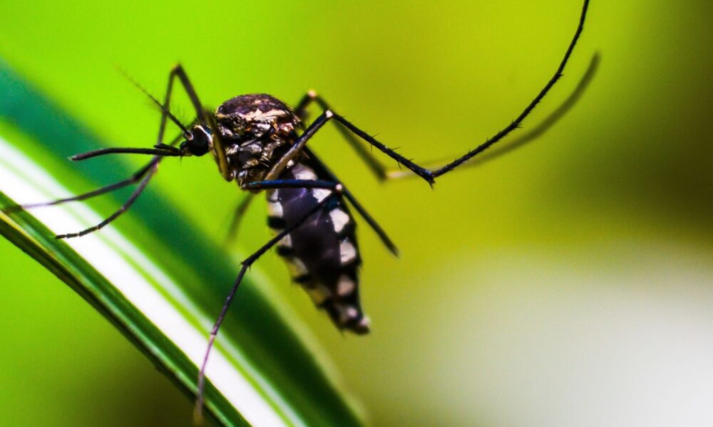 sp:-desigualdade-na-saude-concentra-nas-zonas-norte-e-leste