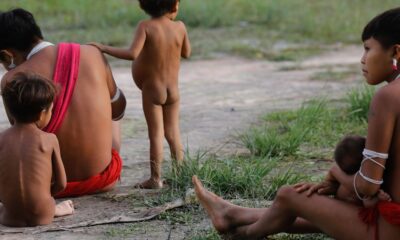 numero-de-obitos-no-territorio-yanomami-teve-reducao-de-21%-em-2024